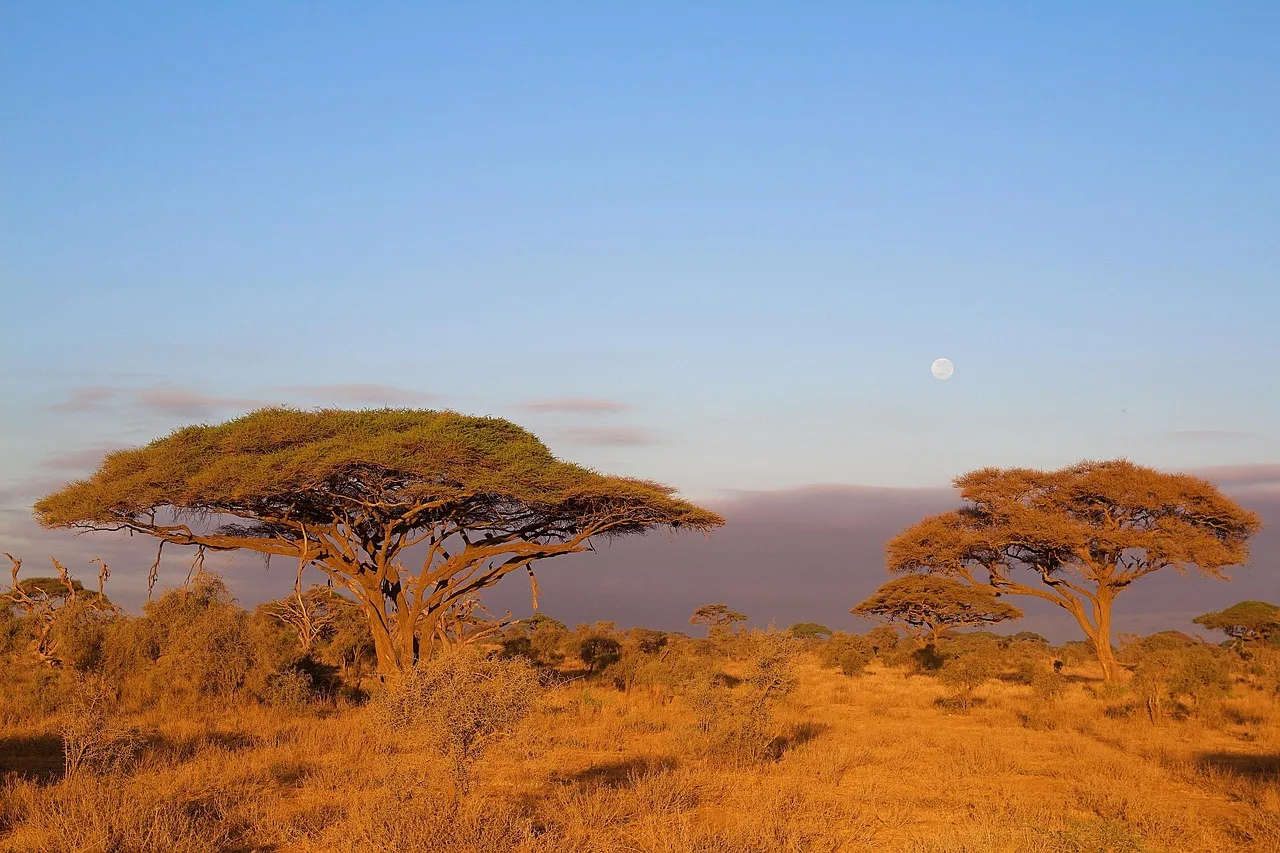 Amboseli