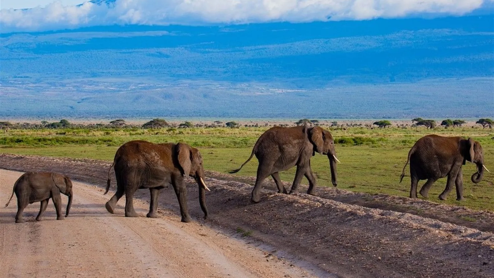 Amboseli Serena Safari Lodge