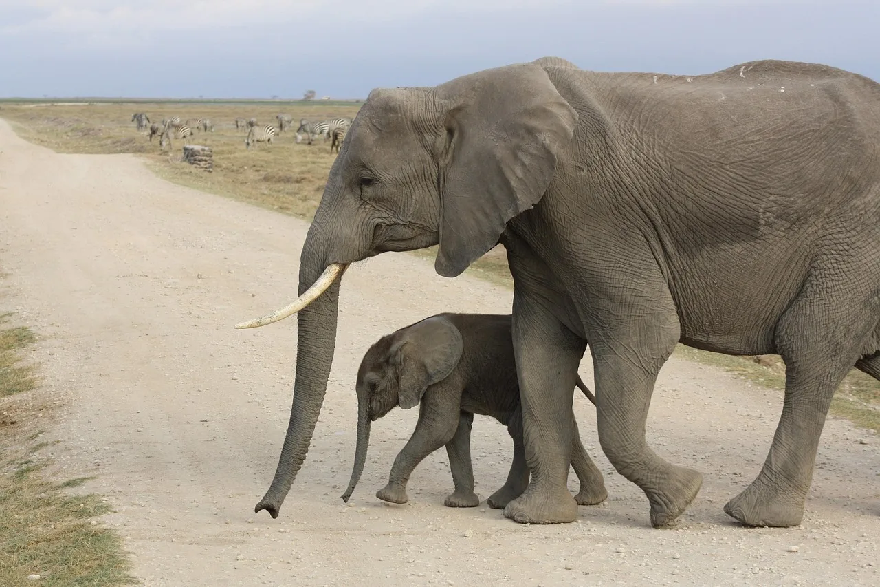 12 Days Kenya Luxury Safari and Beach Journey
